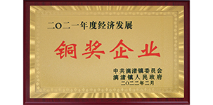 2021年榮獲漓渚鎮(zhèn)2021年度經(jīng)濟(jì)發(fā)展銅獎(jiǎng).JPG